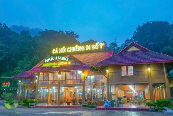 cá hồi mộc châu