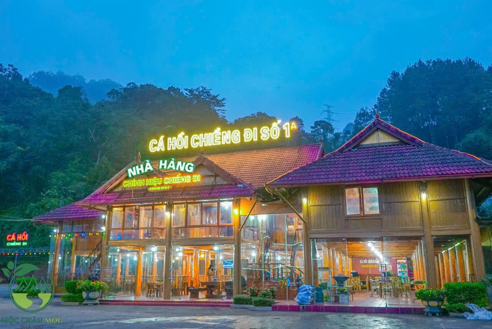 cá hồi mộc châu