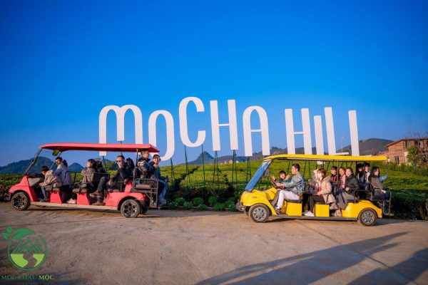 Du khách có thể tham quan Mocha Hill bằng xe điện chuyên dụng 