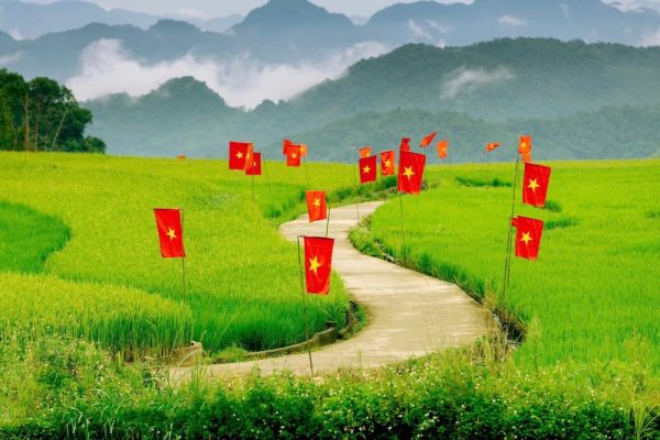 cánh đồng lúa bản suối lìn